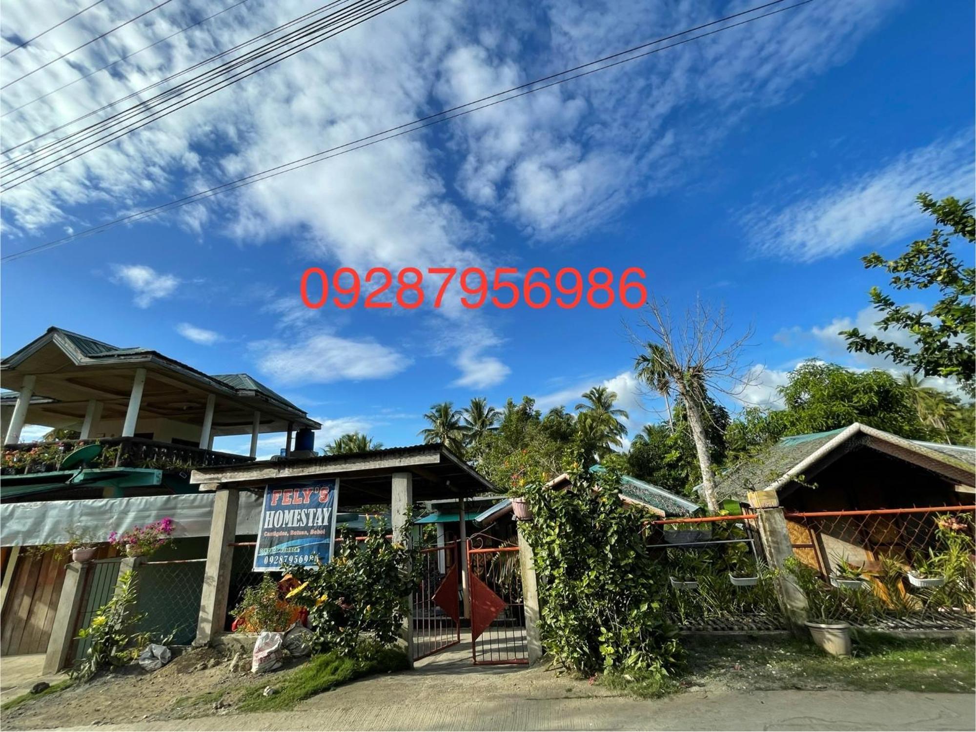 Fely'S Homestay Batuan 外观 照片